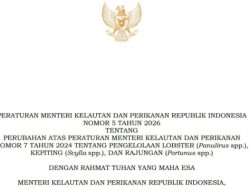 Respon Presiden atas Surel Gus Lilur, KKP Terbitkan Permen KP No. 5 Tahun 2026 Soal Tata Niaga Lobster