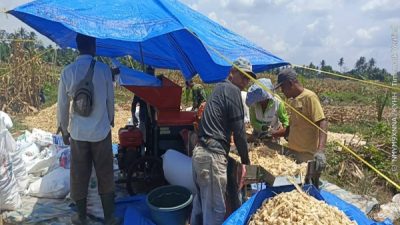 Polsek Bosar Maligas Monitoring Penggilingan 8,4 Ton Jagung di Nagori Parbutaran, Dukung Program Ketahanan Pangan Presiden