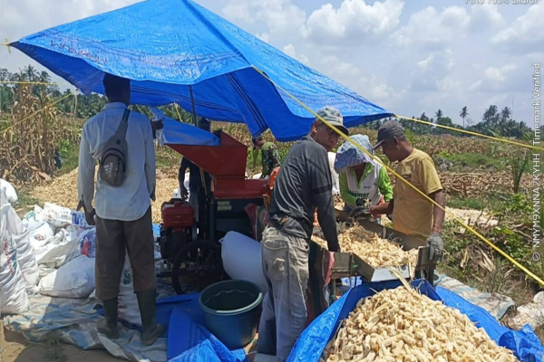Simalungun, Obor Rakyat – Jajaran Kepolisian Sektor (Polsek) Bosar Maligas melakukan monitoring penggilingan hasil panen jagung milik kelompok tani di Nagori Parbutaran, Kecamatan Bosar Maligas, Kabupaten Simalungun, Kamis (5/3/2026).