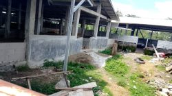 BUMDesma Mangkrak di Binakal Bondowoso: Modal Ratusan Juta Raib, Sapi Hilang, Negara Dirugikan