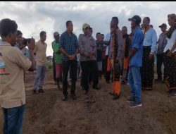 Tani Merdeka Tancap Gas di Nagekeo, Targetkan Jadi Lumbung Padi NTT