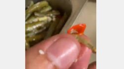 Klarifikasi Terkait Temuan Menu MBG di SMK 2 Bondowoso