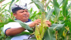 I Wayan Nurasta Wibawa Pimpin Lapas Tenggarong, Warga Banyuwangi Kenang Sosok Pengayom