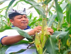 I Wayan Nurasta Wibawa Pimpin Lapas Tenggarong, Warga Banyuwangi Kenang Sosok Pengayom