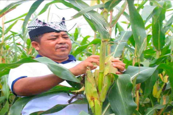 Kepala Lembaga Pemasyarakatan (Kalapas) Kelas IIA Banyuwangi, I Wayan Nurasta Wibawa, resmi mendapat amanah baru sebagai Kepala Lapas Kelas IIA Tenggarong, Kalimantan Timur, per 11 April 2026.