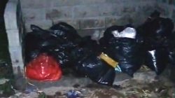 Warga Baletbaru Jember Resah Akibat Bau Limbah Dapur SPPG