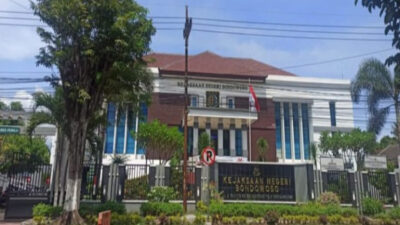 Kredit Porang Bondowoso Disorot Kejaksaan, Kades Jetis Ungkap Petani Hanya Terima Rp3 Juta