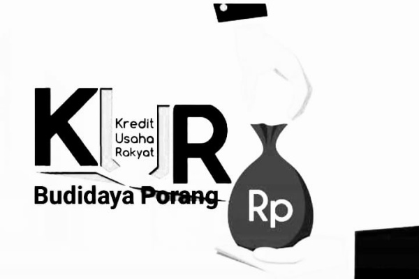 Bondowoso, Obor Rakyat – Polemik Kredit Usaha Rakyat (KUR) budidaya porang di Kecamatan Curahdami, Kabupaten Bondowoso, kembali memanas.