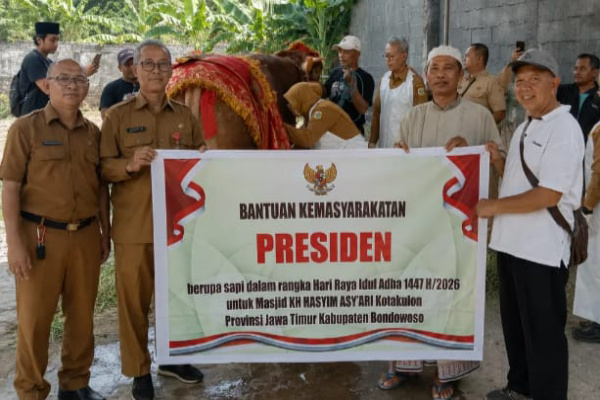 Bondowoso, Obor Rakyat - Presiden Republik Indonesia, Prabowo Subianto memberikan bantuan dua ekor sapi kurban super jumbo kepada masyarakat Kabupaten Bondowoso menjelang Hari Raya Idul Adha 1447 Hijriah.