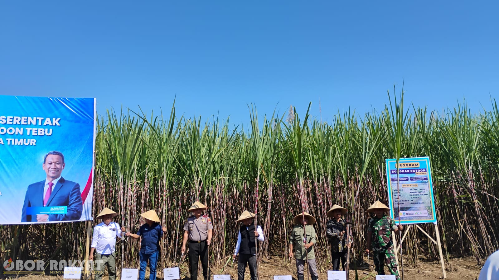 Bondowoso, Obor Rakyat – Pemerintah Kabupaten (Pemkab) Bondowoso menggelar kegiatan Panen Tebu Program Bongkar Ratoon 2026 di Desa Mangli Wetan, Kecamatan Tapen, pada Kamis (18/6/2026).