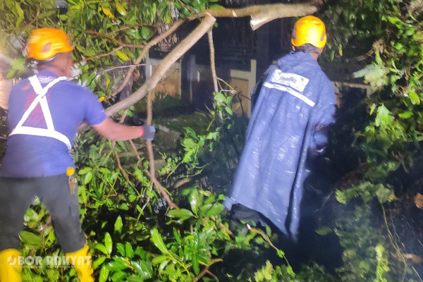 Jember, Obor Rakyat – Respons cepat ditunjukkan oleh Badan Penanggulangan Bencana Daerah (BPBD) Kabupaten Jember setelah menerima laporan masyarakat terkait insiden pohon tumbang di Jalan Wahid Hasyim, Kelurahan Kepatihan, Kecamatan Kaliwates, Minggu (21/6/2026) malam.