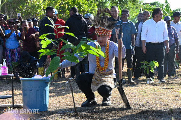 Manokwari Selatan, Obor Rakyat – Wakil Presiden RI Gibran Rakabuming Raka melakukan penanaman bibit kakao unggulan di lahan perkebunan PT Ebier Suth Cokran, Kabupaten Manokwari Selatan, Sabtu (20/6/2026).