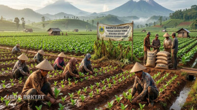 ​Bondowoso, Obor Rakyat — Berlalunya musim tanam tembakau di Kabupaten Bondowoso, Jawa Timur, menyisakan residu persoalan yang tak kunjung terurai.Program insentif berupa pupuk gratis yang sebelumnya digelorakan oleh Dinas Pertanian dan Ketahanan Pangan (DPKP) Bondowoso kini disorot tajam karena dinilai kehilangan kontinuitasnya.