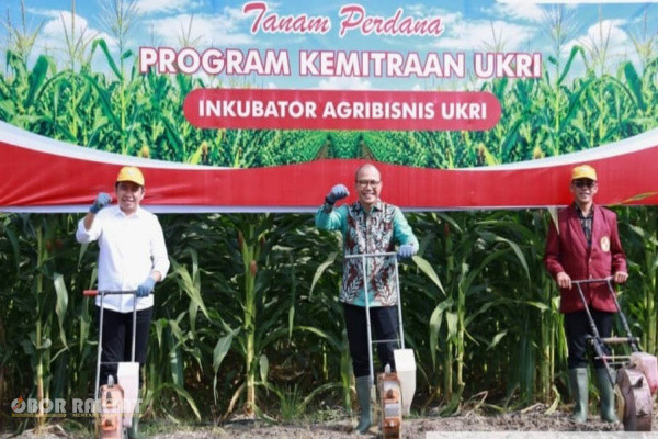 Jember, Obor Rakyat — Sebuah babak baru dalam transformasi struktural sektor agraria kawasan Jawa Timur bagian selatan resmi bergulir.Pemerintah Kabupaten (Pemkab) Jember bersama Fakultas Pertanian Universitas Kebangsaan Republik Indonesia (UKRI) menginisiasi langkah korektif terhadap pola komoditas mentah melalui peresmian Inkubator Agribisnis UKRI di Kecamatan Jenggawah.