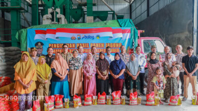 Polres Jember dan Bulog Serap Panen Jagung Petani Binaan demi Perkuat Ketahanan Pangan dan Kesejahteraan