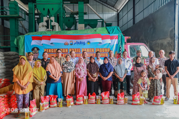 Jember, Obor Rakyat — Polres Jember menunjukkan komitmennya dalam mendukung program ketahanan pangan nasional melalui penyerapan dan kepastian pemasaran hasil panen petani.