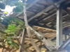 Kerusakan Jembatan Koncer Kian Parah, Pemkab Bondowoso Didesak Segera Pasang Kembali Portal Ketat