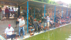 Pengembangan Potensi Lokal: TP3D Jember Dorong Tradisi Memancing Jadi Penggerak Ekonomi dan Pariwisata