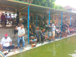 Pengembangan Potensi Lokal: TP3D Jember Dorong Tradisi Memancing Jadi Penggerak Ekonomi dan Pariwisata
