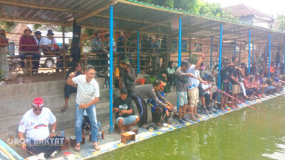Pengembangan Potensi Lokal: TP3D Jember Dorong Tradisi Memancing Jadi Penggerak Ekonomi dan Pariwisata